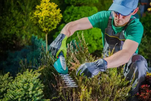 landscaping services Orange